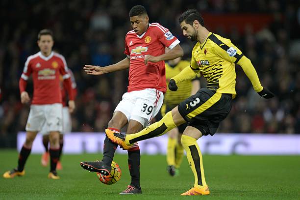 不仅展示了 不仅展示了