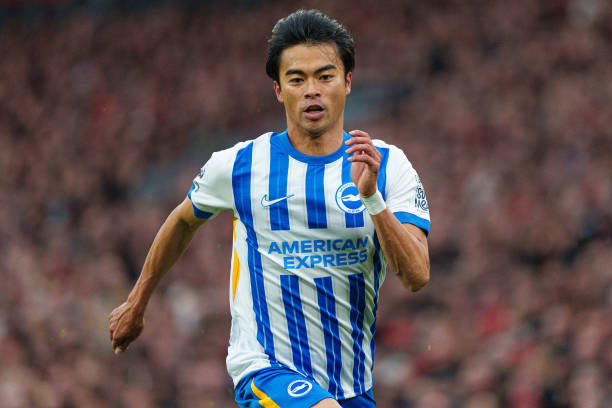 有望将自己 有望将自己